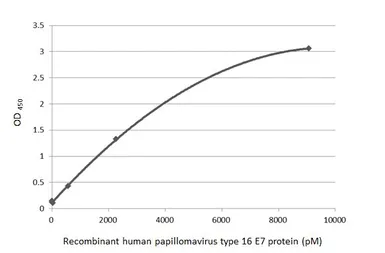Anti-Human Papillomavirus type 16 E7 antibody [HL1647] used in ELISA (ELISA). GTX637228