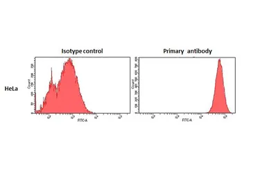 Anti-CD44 antibody [HL1650] used in Flow cytometry (FCM). GTX637231