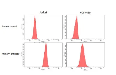 Anti-CXCR4 antibody [HL2612] used in Flow cytometry (FCM). GTX639064