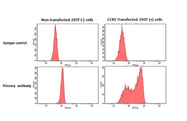 Anti-CCR5 antibody [HL2780] used in Flow cytometry (FCM). GTX639645