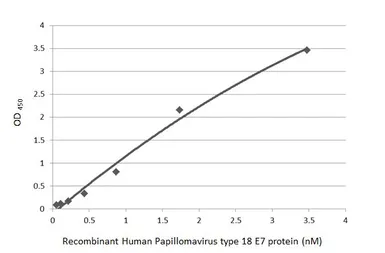 Anti-Human Papillomavirus type 18 E7 antibody [HL2789] used in ELISA (ELISA). GTX639657