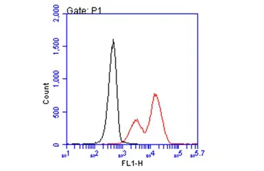 Anti-HLA-B7 antibody [BB7.1] used in Flow cytometry (FCM). GTX639674
