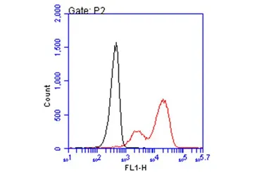 Anti-HLA-B7 antibody [BB7.1] used in Flow cytometry (FCM). GTX639674