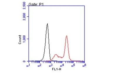 Anti-HLA-A2 antibody [BB7.2] used in Flow cytometry (FCM). GTX639675