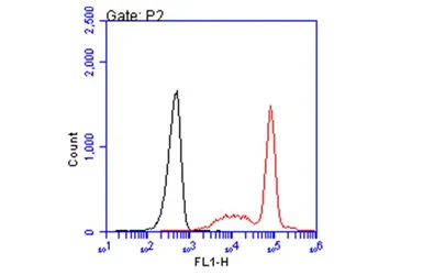 Anti-HLA-A2 antibody [BB7.2] used in Flow cytometry (FCM). GTX639675
