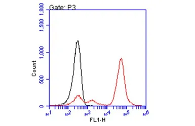 Anti-HLA-A2 antibody [BB7.2] used in Flow cytometry (FCM). GTX639675