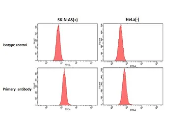 Anti-Dopamine Receptor D4 antibody [HL2850] used in Flow cytometry (FCM). GTX640121