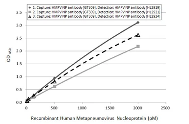 Anti-Human metapneumovirus Nucleoprotein antibody [HL2924] used in ELISA (ELISA). GTX640267