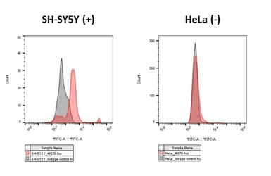 Anti-Dopamine Receptor D1 antibody [HL2927] used in Flow cytometry (FCM). GTX640270