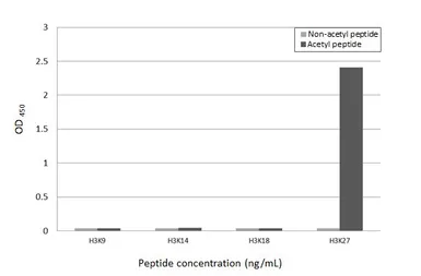 Anti-Histone H3K27ac (Acetyl Lys27) antibody [HL2936] used in  (). GTX640320