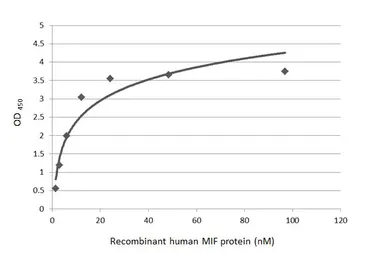 Anti-MIF antibody [HL2964] used in ELISA (ELISA). GTX640351