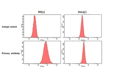 Anti-MC4 Receptor antibody [HL3145] used in Flow cytometry (FCM). GTX640637