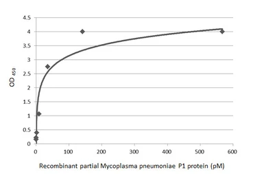 Anti-Mycoplasma pneumoniae P1 protein antibody [HL3203] used in ELISA (ELISA). GTX640843