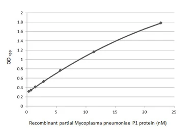 Anti-Mycoplasma pneumoniae P1 protein antibody [HL3204] used in ELISA (ELISA). GTX640844