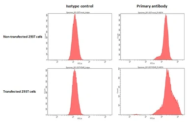 Anti-FSH Receptor antibody [HL3233] used in Flow cytometry (FCM). GTX640874