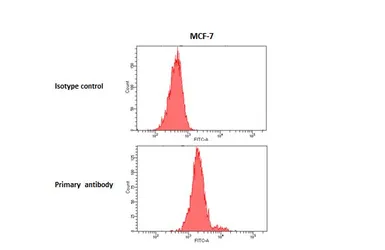 Anti-CCR5 antibody [HL3248] used in Flow cytometry (FCM). GTX640891