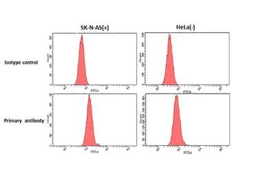 Anti-Mu Opioid receptor antibody [HL3348] used in Flow cytometry (FCM). GTX641120