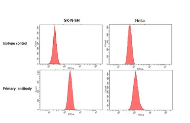Anti-Mu Opioid receptor antibody [HL3348] used in Flow cytometry (FCM). GTX641120