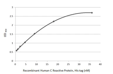 Anti-C Reactive Protein antibody [GT55] used in ELISA and Sandwich ELISA (ELISA Sandwich ELISA). GTX641407