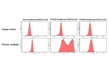 Anti-PTH1R antibody [HL3651] used in Flow cytometry (FCM). GTX641642
