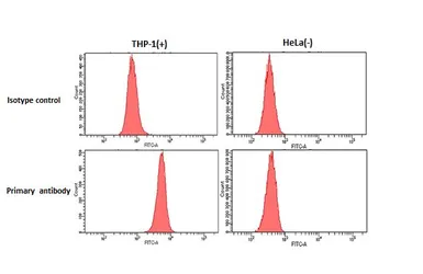 Anti-beta 1 Adrenergic Receptor antibody [HL3678] used in Flow cytometry (FCM). GTX641706