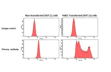 Anti-PAR2 antibody [HL3771] used in Flow cytometry (FCM). GTX641970