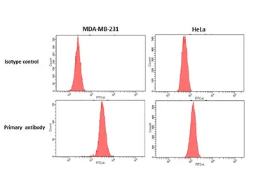 Anti-PAR2 antibody [HL3771] used in Flow cytometry (FCM). GTX641970