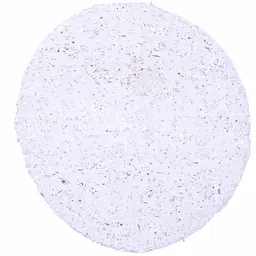Anti-EGFRvIII antibody [HMV3805] HistoMAX&trade; used in IHC (Paraffin sections) (IHC-P). GTX642029
