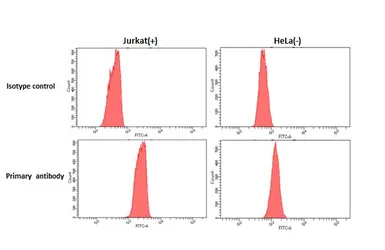 Anti-TSH receptor antibody [HL3874] used in Flow cytometry (FCM). GTX642112