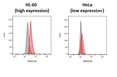 Anti-P2Y2 antibody [HL3923] used in Flow cytometry (FCM). GTX642168