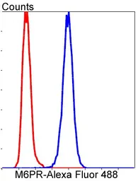 Anti-IGF2R antibody [GT1078] used in Flow cytometry (FCM). GTX64270