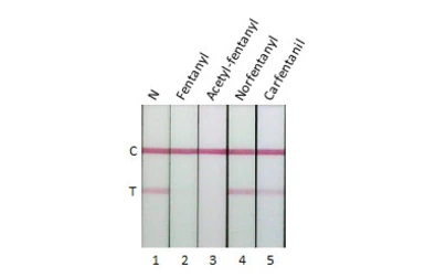 Anti-Fentanyl antibody [GT198] used in Lateral Flow (Lateral Flow). GTX643513