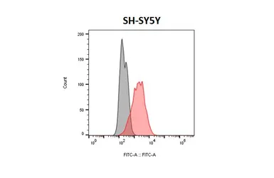 Anti-Dopamine Receptor D2 antibody [HL4284] used in Flow cytometry (FCM). GTX643524