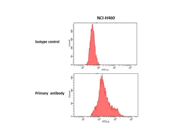 Anti-C5a R1 antibody [HL4588] used in Flow cytometry (FCM). GTX644264
