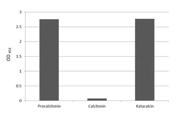 Anti-Katacalcin / Procalcitonin antibody [HL4615] used in ELISA (ELISA). GTX644479