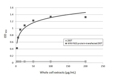 Anti-West Nile virus NS3 protein antibody [HL4682] used in ELISA (ELISA). GTX644683