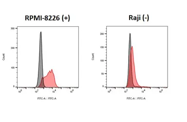 Anti-CX3CR1 antibody [HL4701] used in Flow cytometry (FCM). GTX644702