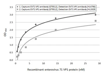 Anti-Enterovirus 71 VP1 antibody [HL4796] used in ELISA (ELISA). GTX644808