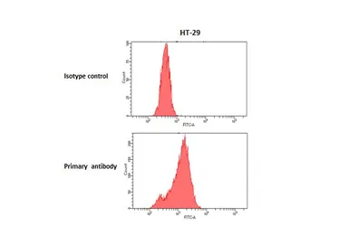 Anti-NMUR2 antibody [HL4810] used in Flow cytometry (FCM). GTX644822