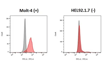 Anti-CCR9 antibody [HL4846] used in Flow cytometry (FCM). GTX644909