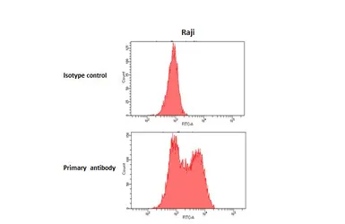 Anti-CD22 antibody [HL5322] used in Flow cytometry (FCM). GTX645787