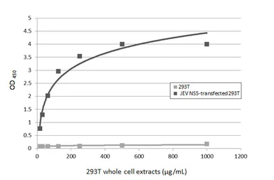 Anti-Japanese encephalitis virus NS5 antibody [HL5380] used in ELISA (ELISA). GTX645948