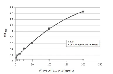 Anti-Chikungunya virus Capsid antibody [HL5731] used in ELISA (ELISA). GTX646682