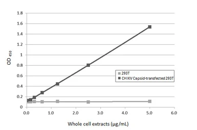 Anti-Chikungunya virus Capsid antibody [HL5731] used in ELISA (ELISA). GTX646682