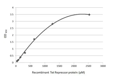 Anti-Tet Repressor antibody [HL5875] used in ELISA (ELISA). GTX647199