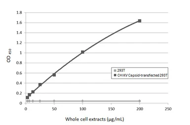 Anti-Chikungunya virus Capsid antibody [HL6528] used in ELISA (ELISA). GTX648984
