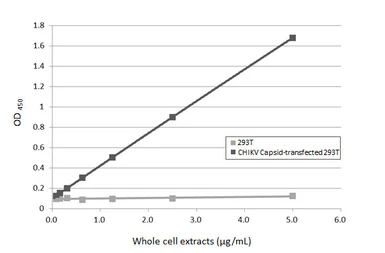 Anti-Chikungunya virus Capsid antibody [HL6528] used in ELISA (ELISA). GTX648984