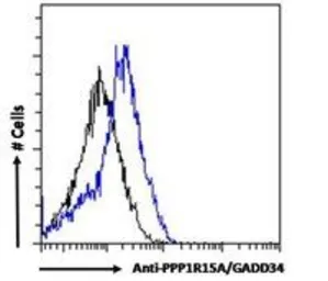 Anti-GADD34 antibody, C-term used in Flow cytometry (FCM). GTX74479
