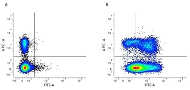 Anti-CD44 antibody [5035-41.1D] (FITC) used in Flow cytometry (FCM). GTX74574