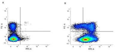 Anti-CD44 antibody [5035-41.1D] (FITC) used in Flow cytometry (FCM). GTX74574